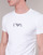 Oblečenie Muž Tričká s krátkym rukávom Emporio Armani CC715-PACK DE 2 Biela