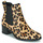 Topánky Žena Čižmičky Betty London HASNI Leopard