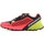 Topánky Žena Bežecká a trailová obuv Dynafit Alpine Pro W Grafit, Ružová, Pastelová zelená