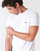 Oblečenie Muž Tričká s krátkym rukávom Lacoste TH6709 Biela