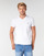 Oblečenie Muž Tričká s krátkym rukávom Lacoste TH6710 Biela