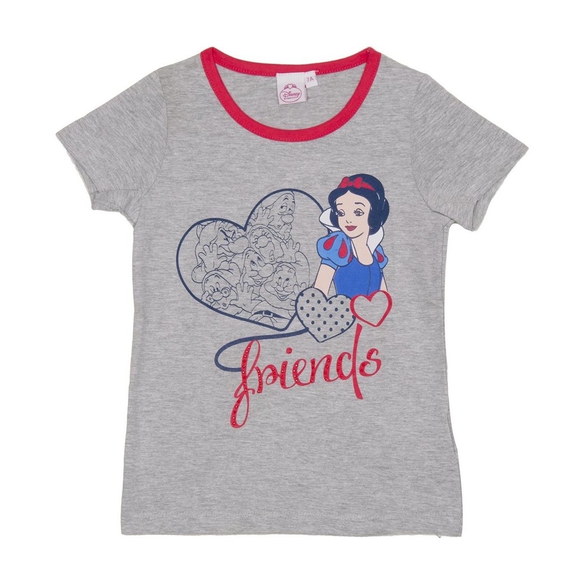 Oblečenie Dievča Tričká s krátkym rukávom Disney WD26121-GRIS Šedá