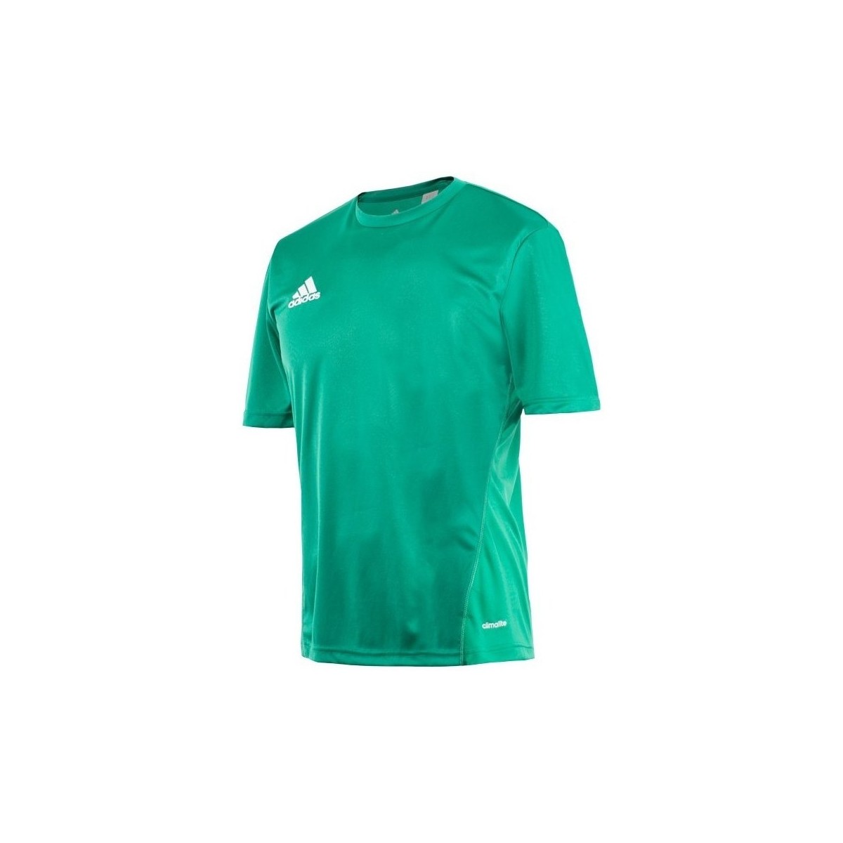 Oblečenie Muž Tričká s krátkym rukávom adidas Originals Core 15 Training Zelená