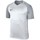 Oblečenie Chlapec Tričká s krátkym rukávom Nike JR Dry Trophy Iii Jersey Sivá, Strieborná