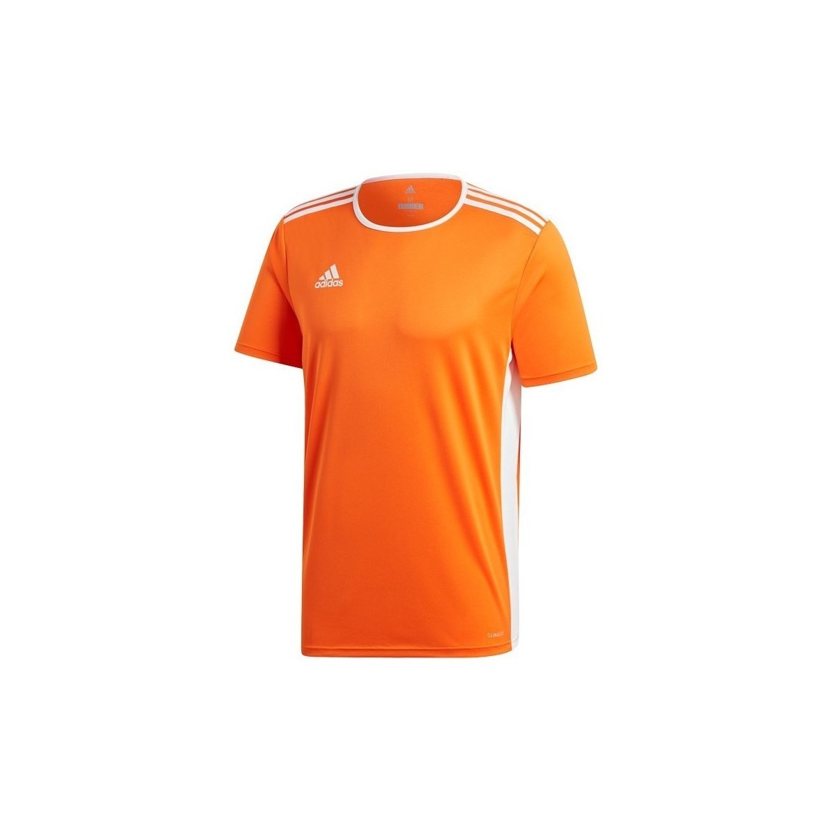 Oblečenie Muž Tričká s krátkym rukávom adidas Originals Entrada 18 Oranžová