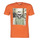 Oblečenie Muž Tričká s krátkym rukávom Jack & Jones JORSKULLING Oranžová
