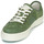 Topánky Muž Nízke tenisky Globe SURPLUS Zelená