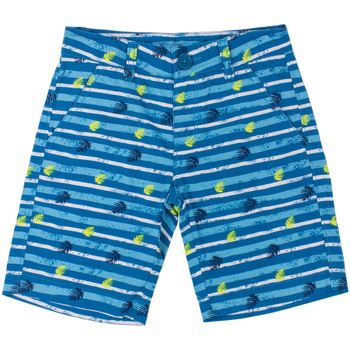 Oblečenie Chlapec Plavky  Primigi 37243314 Modrá