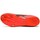 Topánky Muž Bežecká a trailová obuv Asics Hyper MD7 Červená
