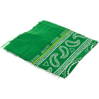 Textilné doplnky Muž Šále, štóle a šatky Guess Accesorios AM8764MOD03-GRE Zelená