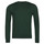 Oblečenie Muž Svetre Polo Ralph Lauren AMIRAL Zelená