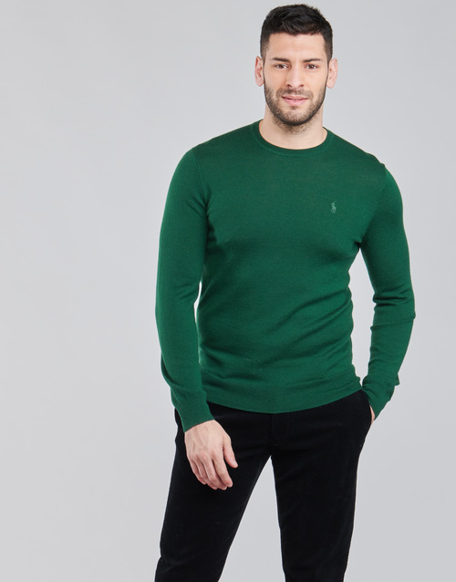 Oblečenie Muž Svetre Polo Ralph Lauren AMIRAL Zelená