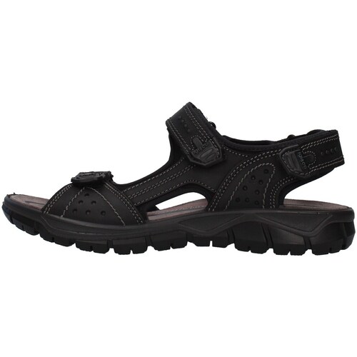 Topánky Muž Sandále IgI&CO 7130000 Čierna