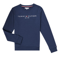 Oblečenie Deti Mikiny Tommy Hilfiger TERRIS Námornícka modrá
