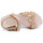 Topánky Muž Sandále Shone L6133-036 Nude Ružová