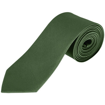 Oblečenie Kravaty a doplnky Sols GARNER - CORBATA Zelená