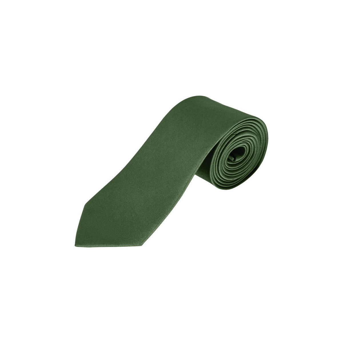 Oblečenie Muž Obleky a kravaty Sols GARNER - CORBATA Zelená