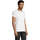 Oblečenie Muž Tričká s krátkym rukávom Sols Camiseta IMPERIAL FIT color Blanco Biela