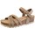 Topánky Sandále Coquette 25253-24 Hnedá