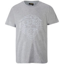 Oblečenie Muž Tričká s krátkym rukávom Ed Hardy - Tiger glow t-shirt mid-grey Šedá