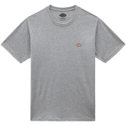 Oblečenie Muž Tričká a polokošele Dickies Mapleton T-Shirt - Grey Šedá