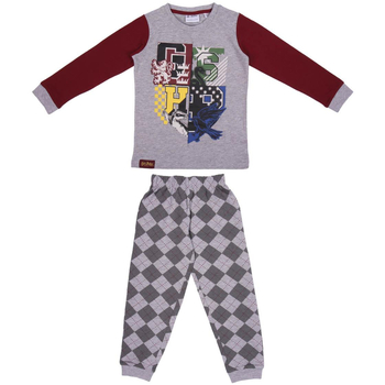 Oblečenie Deti Pyžamá a nočné košele Harry Potter 2200006346 Šedá