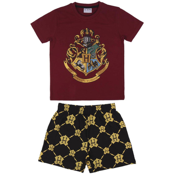 Oblečenie Deti Pyžamá a nočné košele Harry Potter 2200006993 Červená