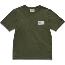 Oblečenie Muž Tričká s krátkym rukávom Halo T-shirt Zelená
