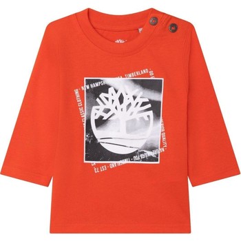 Oblečenie Chlapec Vetrovky a bundy Windstopper Timberland  Oranžová
