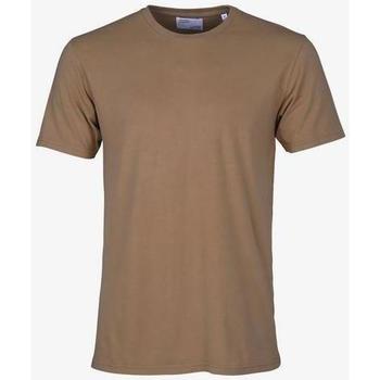 Oblečenie Tričká s krátkym rukávom Colorful Standard T-shirt  Sahara Camel Hnedá