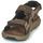 Topánky Muž Športové sandále Columbia Trailstorm Hiker 3 Strap Hnedá