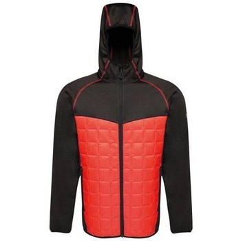 Oblečenie Muž Saká a blejzre Regatta Modular Thermal Červená, Čierna
