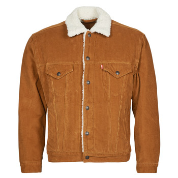 Oblečenie Muž Džínsové bundy Levi's MT-TRUCKER-SHERPA Glazed / Cord