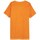Oblečenie Muž Tričká s krátkym rukávom Outhorn TSM603 Oranžová
