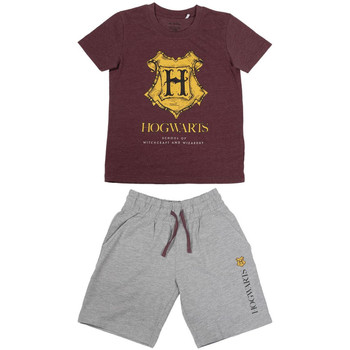 Oblečenie Chlapec Pyžamá a nočné košele Harry Potter 2200007016 Červená