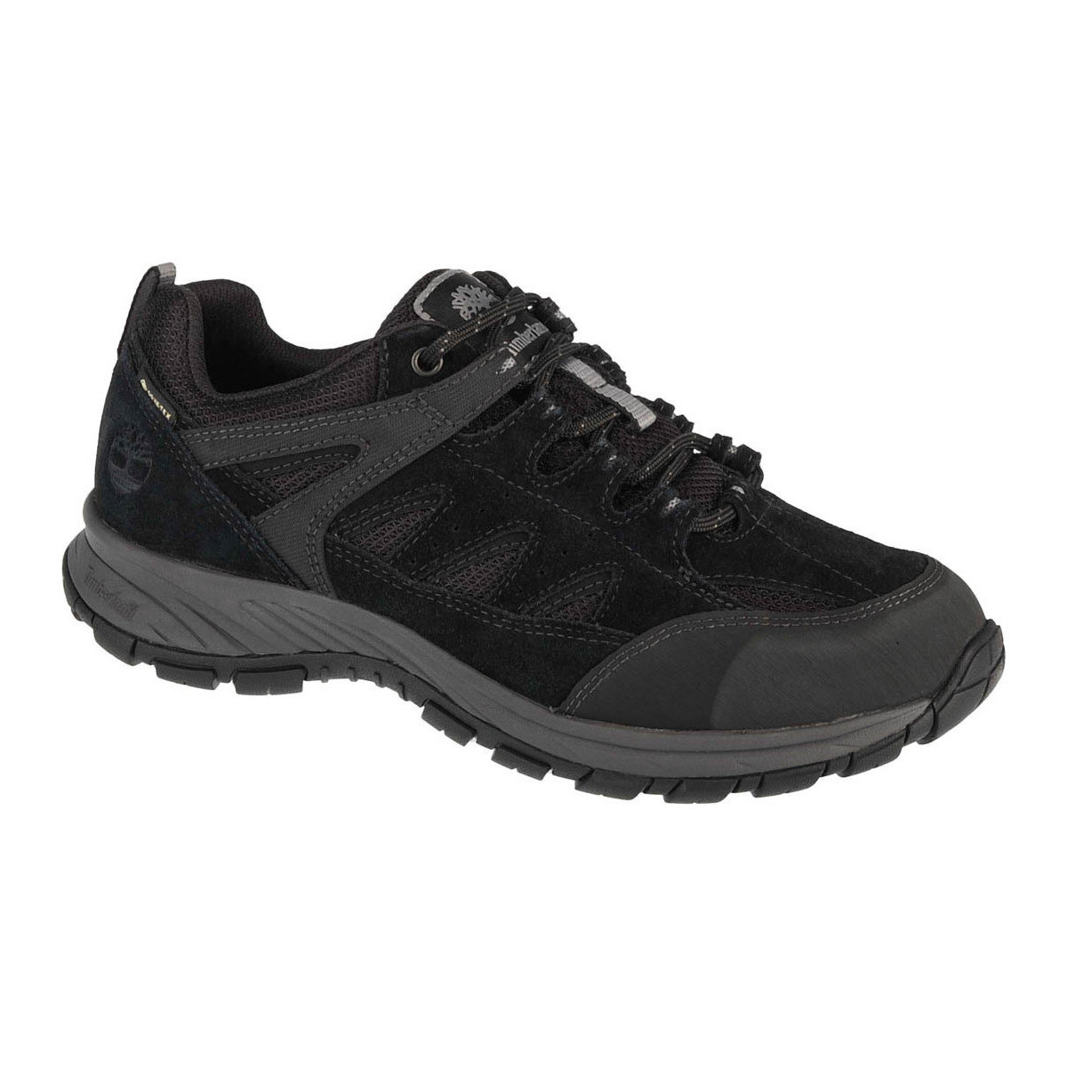 Topánky Muž Turistická obuv Timberland Sadler Pass GTX Čierna