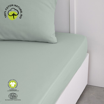 Domov Napínacie plachty Today DH 140/200+30 Coton TODAY Organic Celadon Svetlá zelená pastelová