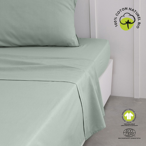 Domov Plachty Today Drap Plat 240/300 Coton TODAY Organic Celadon Svetlá zelená pastelová