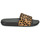 Topánky Žena športové šľapky FitFlop IQUSHION Leopard / Čierna