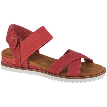 Topánky Žena Športové sandále Skechers Desert Kiss Červená