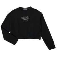 Oblečenie Dievča Mikiny Calvin Klein Jeans METALLIC BOX LOGO SWEATSHIRT Čierna
