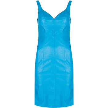 Oblečenie Žena Krátke šaty Pinko 1G160W 7105 | Pudico Abito Modrá