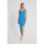 Oblečenie Žena Šaty Robin-Collection 133044748 Modrá