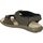 Topánky Muž Sandále Palmipao-Aclys Be Fly Flow S120-05-03 Hnedá