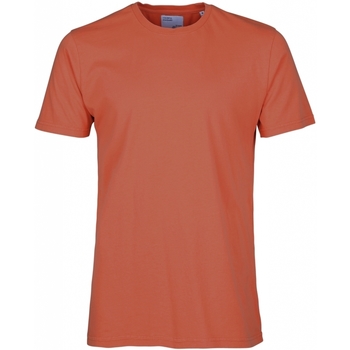 Oblečenie Tričká a polokošele Colorful Standard T-shirt  Classic Organic dark amber Červená