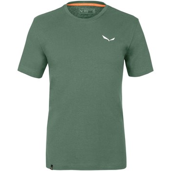 Oblečenie Muž Tričká a polokošele Salewa Pure Dolomites Hemp Men's T-Shirt 28329-5320 Zelená