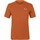 Oblečenie Muž Tričká a polokošele Salewa Pure Dolomites Hemp Men's T-Shirt 28329-4170 Oranžová