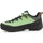 Topánky Muž Turistická obuv Salewa Alp Trainer 2 Gore-Tex® Men's Shoe 61400-5660 Zelená