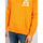 Oblečenie Muž Mikiny Tommy Hilfiger DM0DM06591 Oranžová