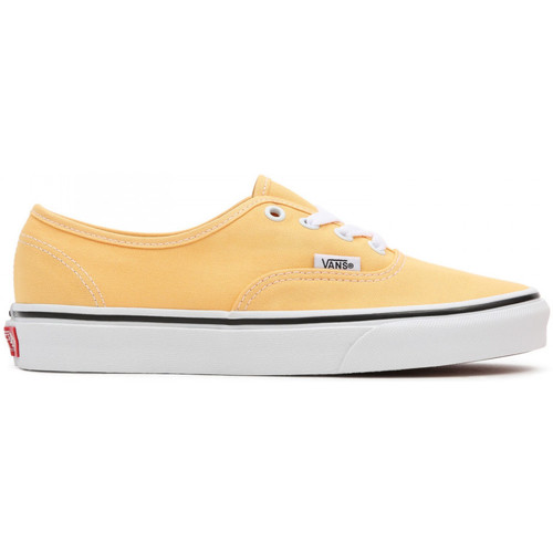 Topánky Muž Skate obuv Vans Authentic Žltá